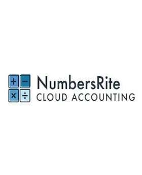 Virtual accounting firm servicing US based businesses