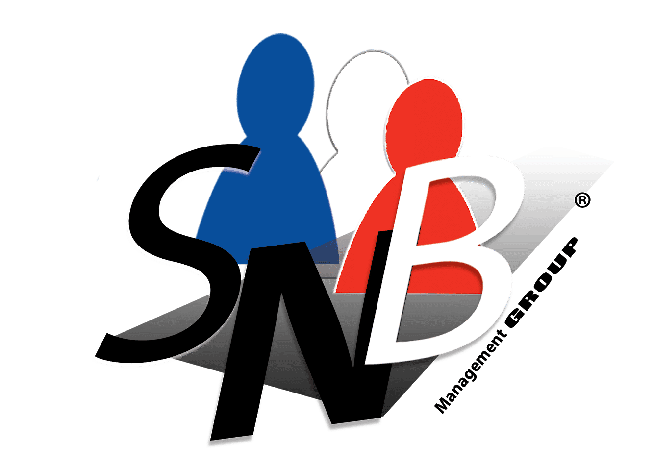 Palmyra Professional Faliere Dieujuste