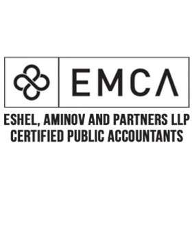 Midtown Manhattan Professional Arik Eshel