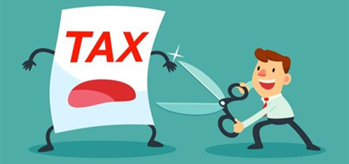 ways-to-save-individual-taxes-dvm-management