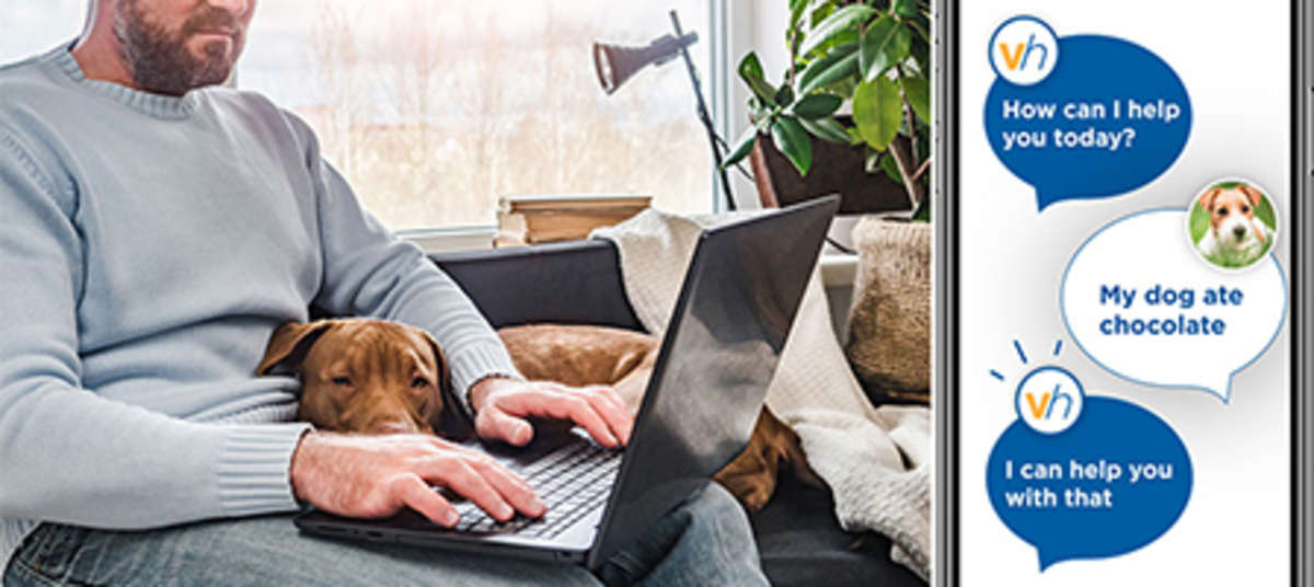 NationwidePET INS CO. Offers Telehealth Service to All Pet Owners