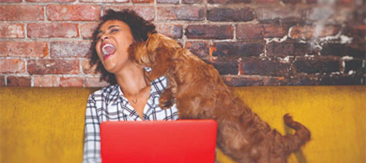 Pet stocks beat S&P500 by 48 in 2020; Freshpet up 127 DVM Management