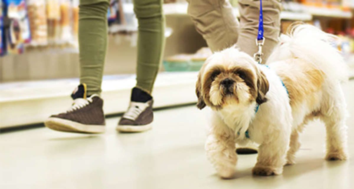 PetSmart franchising in-store veterinary practices | DVM Management