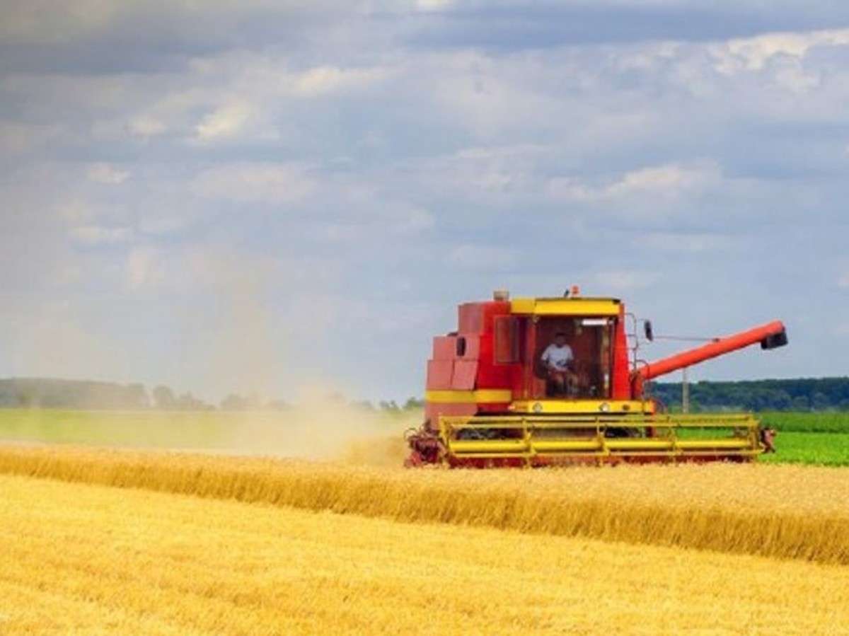 15 million available to Michigan Farms and Food Processors Nietzke