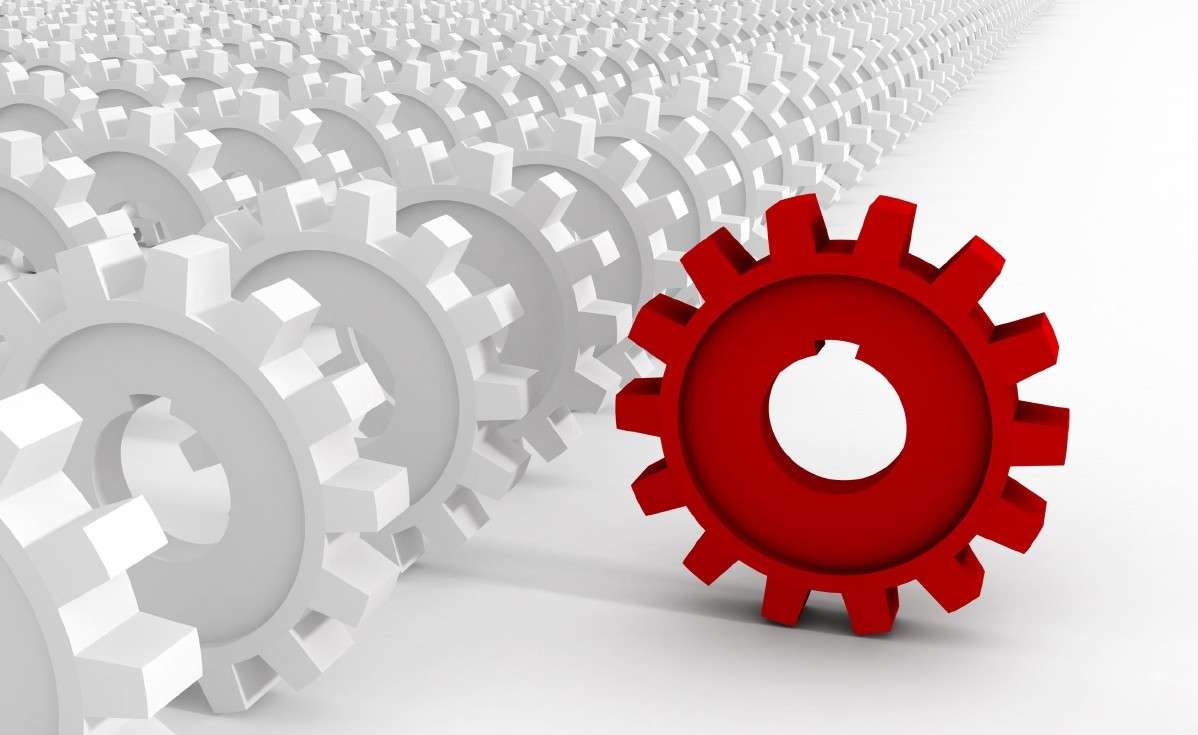 New Business Formation
