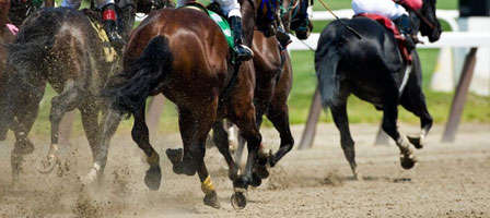 Did You Know Gambling Can Increase Your Health Insurance Costs?
