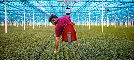 Will a Small Business Grant Help Your Organization? Breaking Things Down