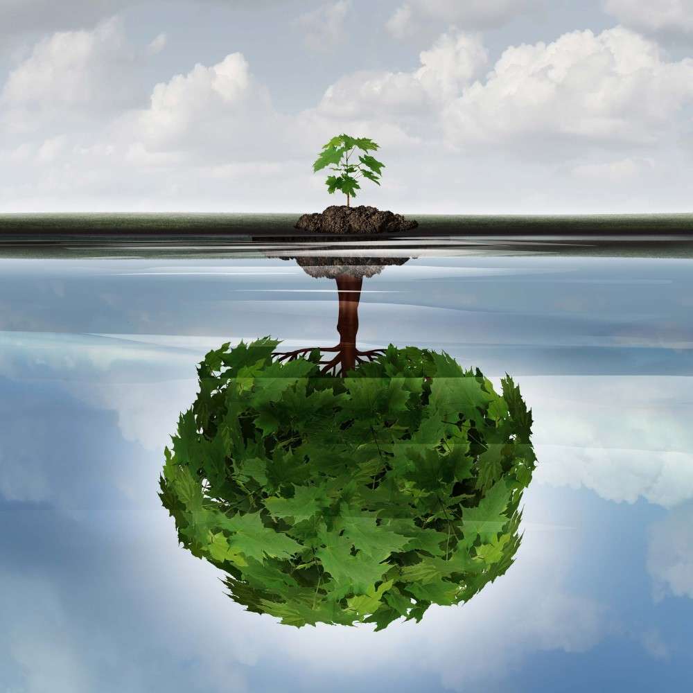 Annapolis Accounting Services knows what your business needs to run smoothly.