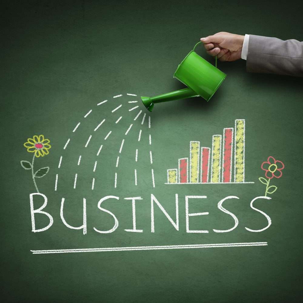 New Business Formation